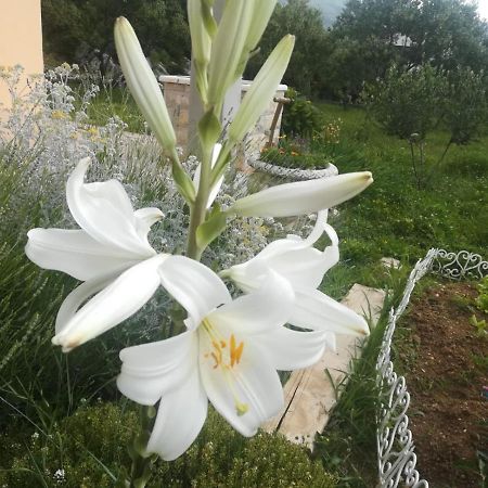 Castello Flower Apartment Kaštela Kültér fotó