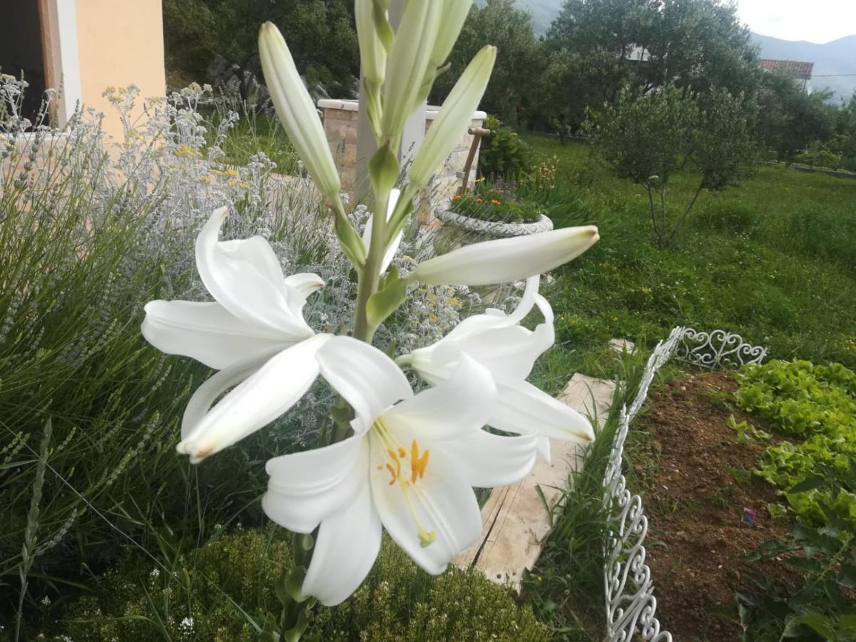 Castello Flower Apartment Kaštela Kültér fotó